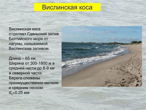 PPT - ПРОГНОЗ ЭВОЛЮЦИИ ПЕСЧАНЫХ КОС ГДАНЬСКОГО ЗАЛИВА В XXI СТОЛЕТИИ ...