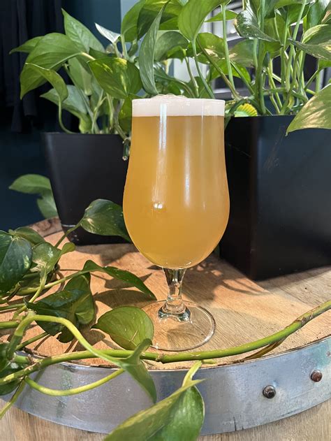 Our Beer | Craft Beer in St. Paul | Wandering Leaf Brewing Company ...