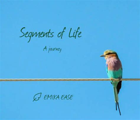 Segments of Life by Emika Ease | YourQuote Bookstore