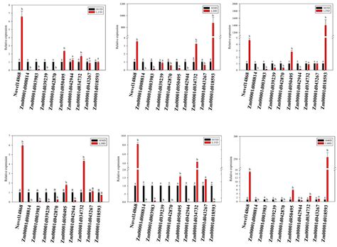 Identification of Key Genes Involved in Embryo Development and ...