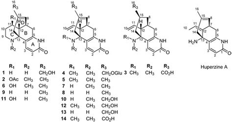 Lycodine-Type Alkaloids from Lycopodiastrum casuarinoides and Their ...