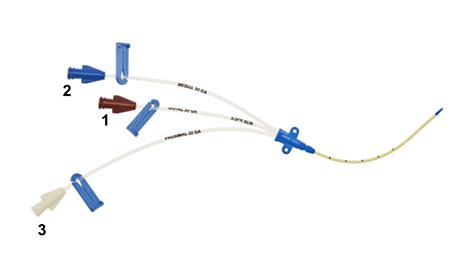 Central Venous Catheter Insertion | Procedures | TeachIM