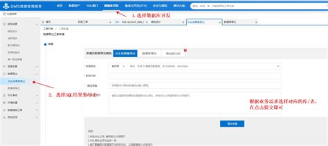 DMS File 的图像结果