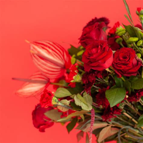 Cupid – farmerr.in