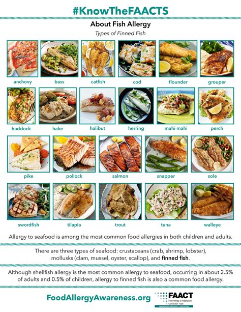 Types of Finned Fish to Avoid for Fish Allergy
