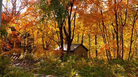 Things To Do In Sapporo, 'The City of Ramen' In Hokkaido