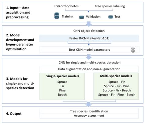 Individual Tree-Crown Detection and Species Identification in ...