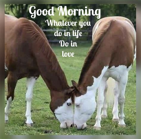 Pin by Debbie Kerwin on Goodmorning /Horses | Cute good morning quotes ...