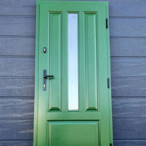 RAL Classic Bottle green RAL 6007: 8 real home pictures