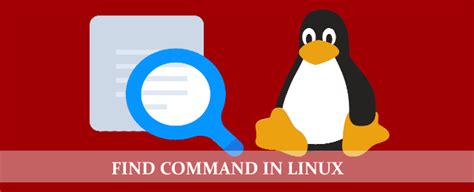 Find Command In Linux - Web Hosting Chennai Official Blog