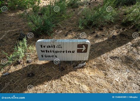 Sign for the Trail of Whispering Pines in Lava Lands Newberry Volcano ...