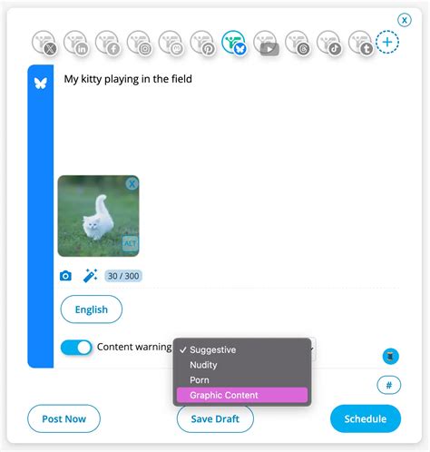 How to Schedule Bluesky Posts with Suggestive Labels (Step-by-Step ...