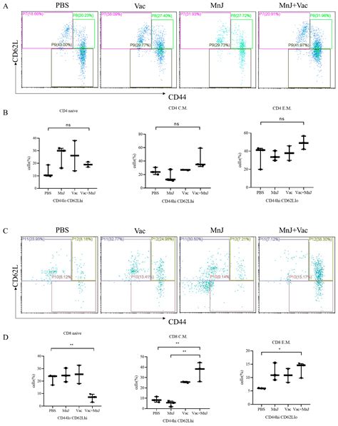 Colloidal Manganese Salt Improves the Efficacy of Toxoplasma gondii ...