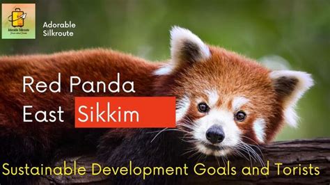 Extended Sandakphu Tour With Old Silk Route EAST SIKKIM - Adventure ...