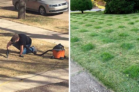 Image result for Practically Neighbors