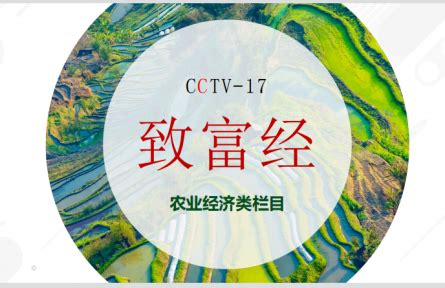 CCTV-17农业农村频道直播_CCTV节目官网_央视网