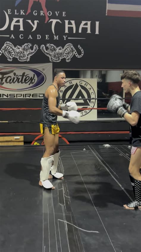 Boxing Sparring Fun 的图像结果