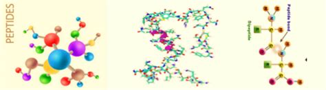 Jay Enterprises - Sourcechempharm