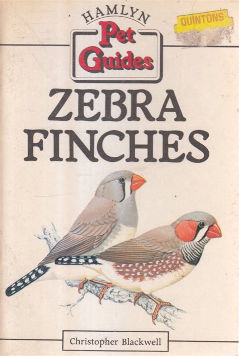 Buy Zebra Finches (Hamlyn pet Guides) Book Online at Low Prices in ...