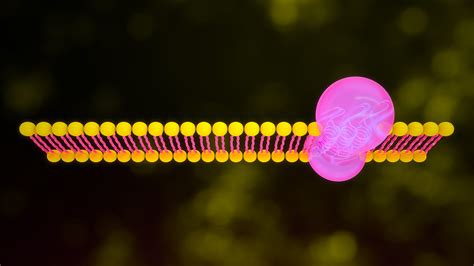 Rhodopsin Visual Purple 3D Model - TurboSquid 2187558