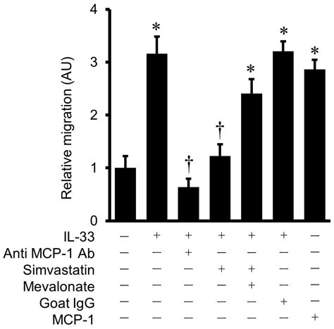 Inhibitory Effects of Simvastatin on IL-33-Induced MCP-1 via the ...