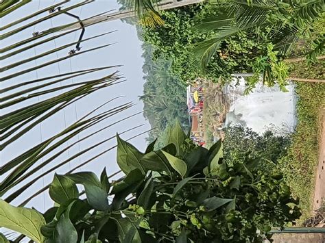 JAMJIR RETREAT FARM HOUSE (Kansariya) - B&B Reviews & Photos - Tripadvisor