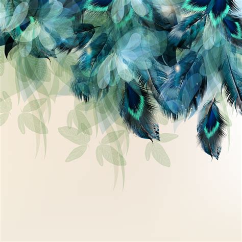 Beautifu Feather Wallpaper – Myindianthings
