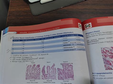 Buy SYNAPSE Connections in Medical Sciences for NEXT Book Online at Low ...