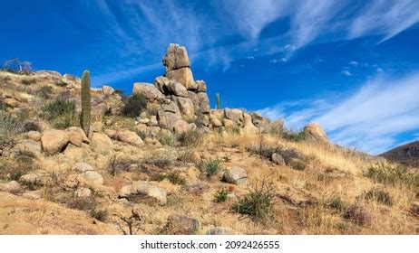 Image result for Science Cycle