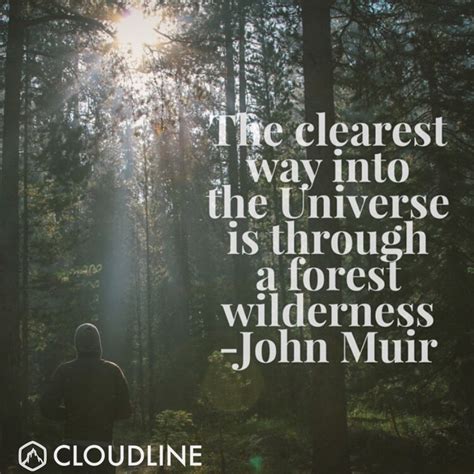 Into the Forest with John Muir: Unraveling Nature's Wisdom