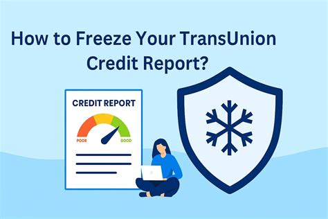 Image result for TransUnion Credit Report
