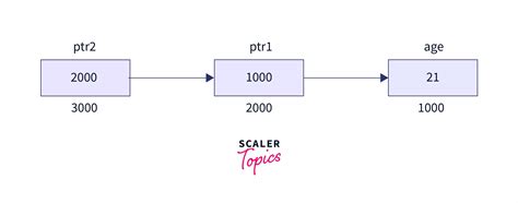 Image result for Mulitple Pointer C-code