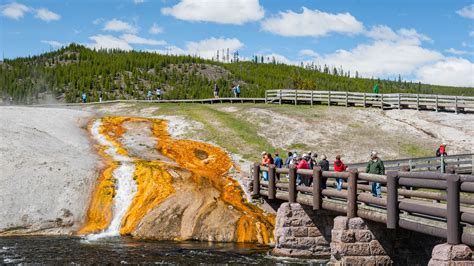 10 TOP Things to Do in Yellowstone National Park November 2023 | Expedia