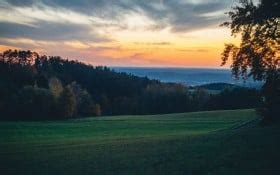 meadow trees forest grass field sunset landscape nature wallpaper ...