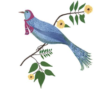 Drapes – Winglore Studio