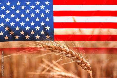 Amrerica National Flag 的图像结果