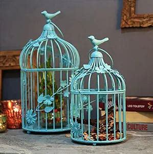 Hot Bird Cage with floral vine (Set of 2), with hanging chain – Homesake.in