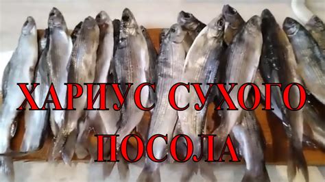 ВКУСНЕЙШИЙ ПОСОЛ ХАРИУСА - ПАЛЬЧИКИ ОБЛИЖЕШЬ ... - YouTube