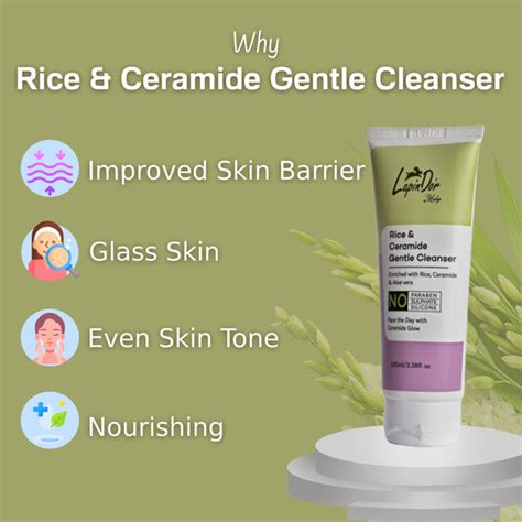 Rice & Ceramide Gentle Cleanser, Aloe Vera Gel Face Wash 100ml – LapinD'or