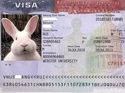 美国个人旅游签证 - 搜狗百科
