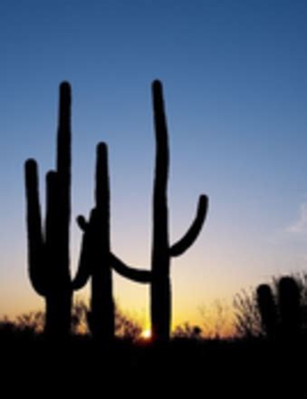 James Marc McLaughlin - 2025 - Anthony M Musmanno Funeral Home