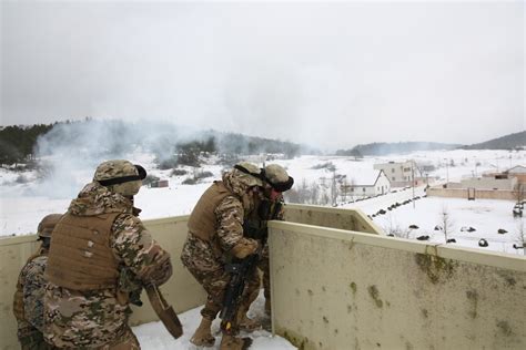 U.S. Marines, Georgian troops ready for NATO's Resolute Support ...