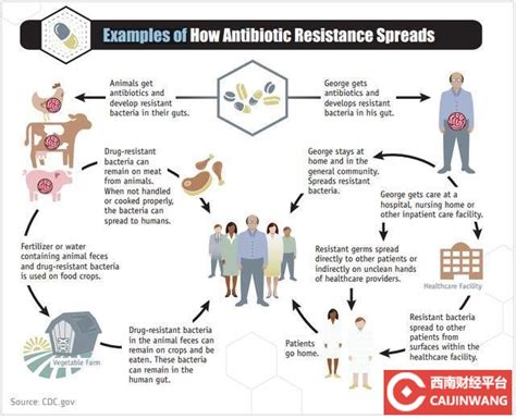 抗生素污染控制技术与原理