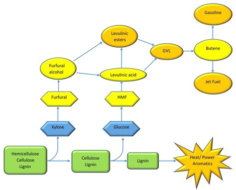 Insight into Biomass Upgrade: A Review on Hydrogenation of 5 ...