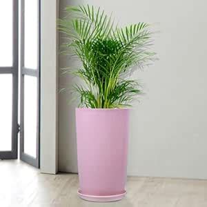 Kuber Industries Flower Pot with Plate | 18 Inch | Lightweight Polymers ...