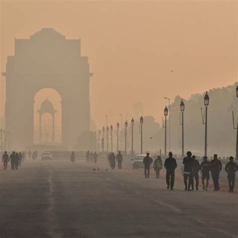 Home | Center in Delhi | The University of Chicago