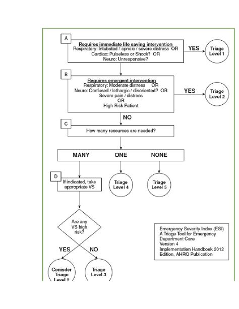 Esi Triage Levels