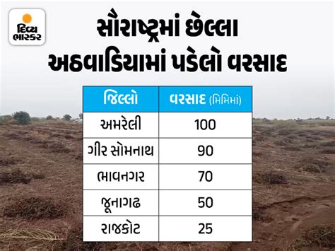 Gujarat Unseasonal Rain Damage Crops; Oil Prices Rise Past ₹ 3000 Mark