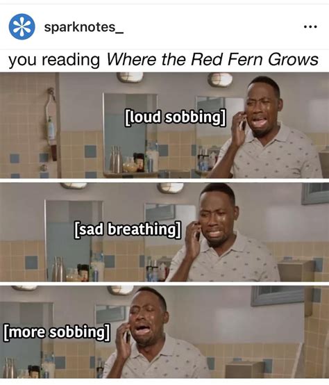 SparkNotes, which makes memes to convey plot points in literature in ...