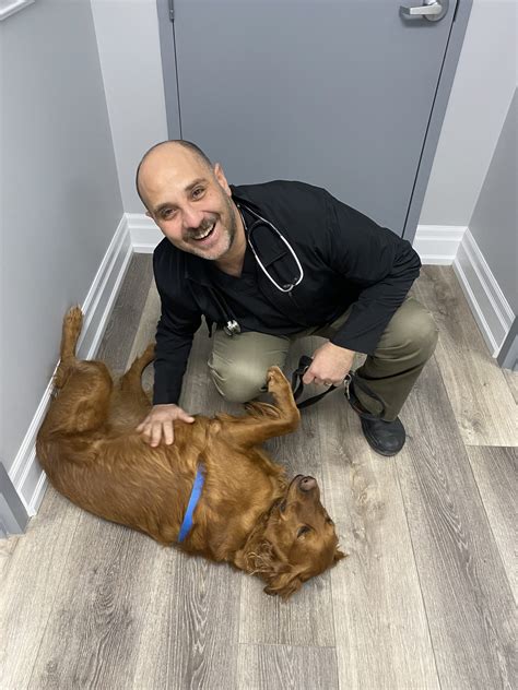 Parkside Animal Hospital |Veterinarian in Waterdown, ON